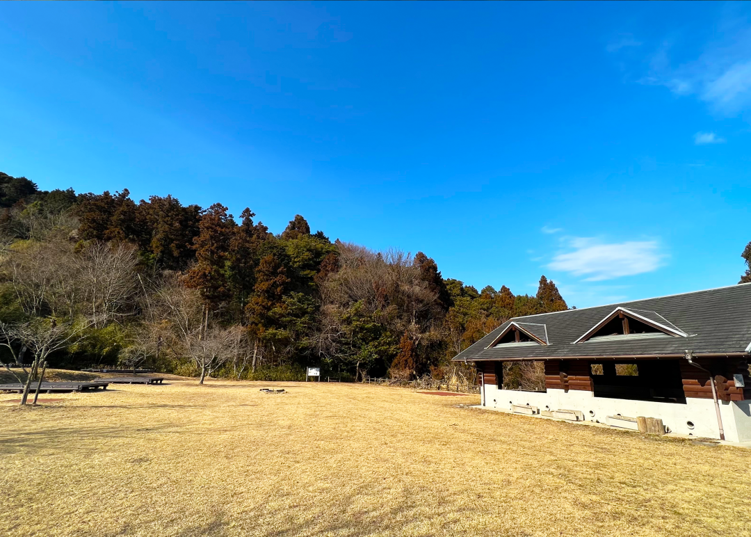 キャンプ場風景